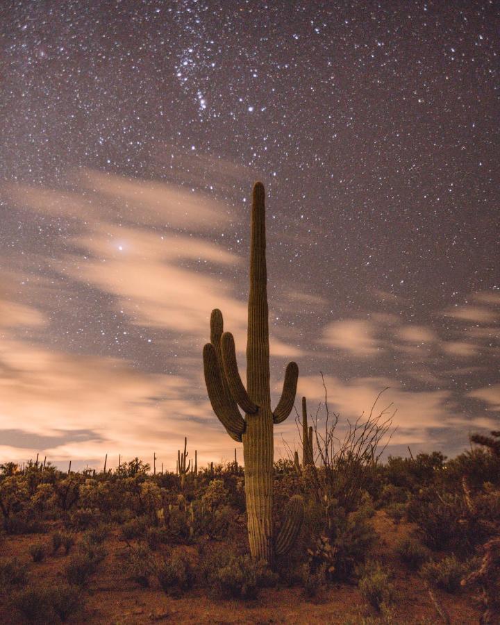 ホテル The Jth Tucson アブラ エクステリア 写真